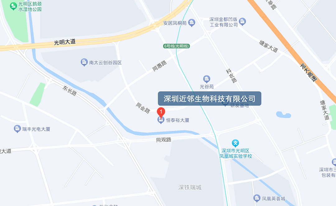 地图
